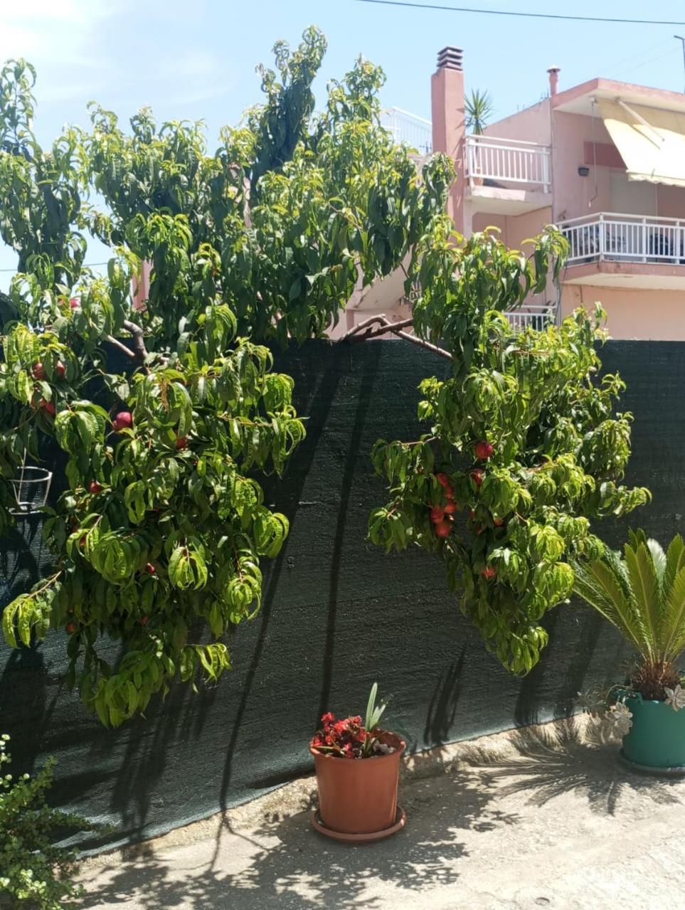 Sia Beach House Nea Karvali Kültér fotó